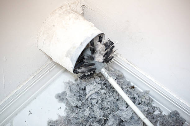 Best HVAC Duct Inspection Services  in Pinewood, FL